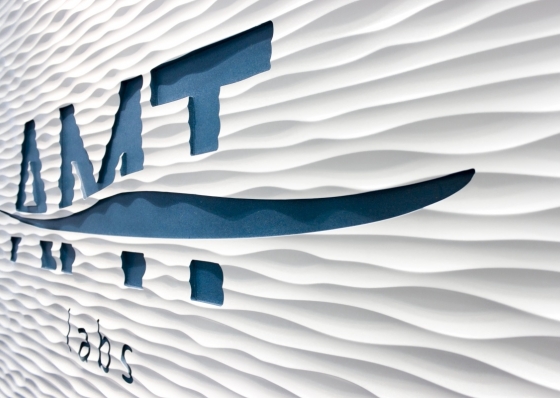 AMT (1)